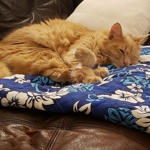 Meet your Posher, Brandy